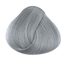 Load image into Gallery viewer, La Riche - Silver