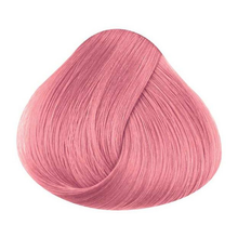 Load image into Gallery viewer, La Riche - Pastel Pink
